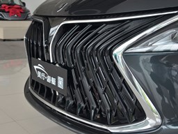 風(fēng)行游艇 汽車(chē)圖片