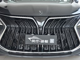 風(fēng)行游艇 汽車(chē)圖片