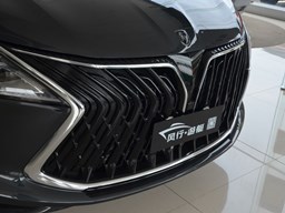 風(fēng)行游艇 汽車(chē)圖片