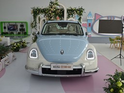 歐拉芭蕾貓 外觀圖片