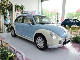 歐拉芭蕾貓 外觀圖片