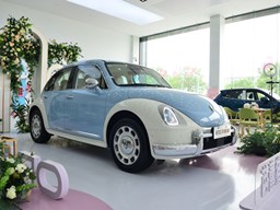 歐拉芭蕾貓 外觀圖片