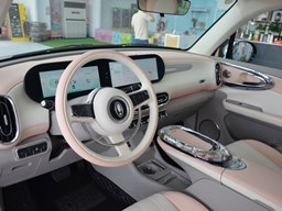 歐拉芭蕾貓 中控圖片