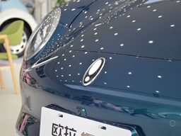 歐拉好貓細節(jié)圖片