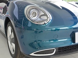 歐拉好貓細節(jié)圖片