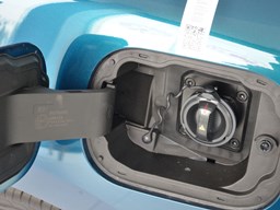 歐拉好貓細節(jié)圖片