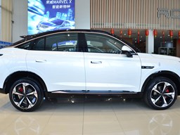 榮威鯨 外觀圖片