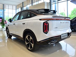 榮威鯨 外觀圖片