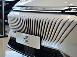 榮威鯨 汽車圖片