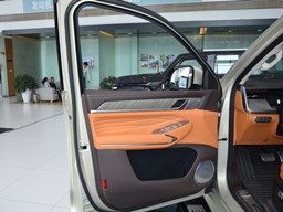 坦克500內(nèi)飾圖片