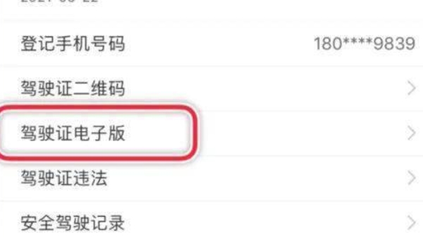 電子駕駛證在哪里查看 電子駕駛證在手機(jī)交管12123APP查看