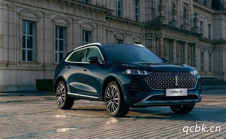 wey是什么車子的品牌