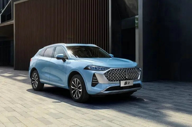 車標是wey是什么車