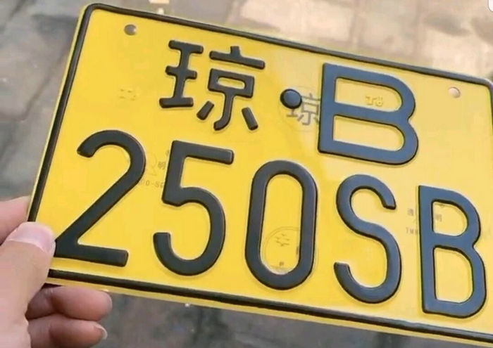 偽造機(jī)動(dòng)車牌照扣幾分