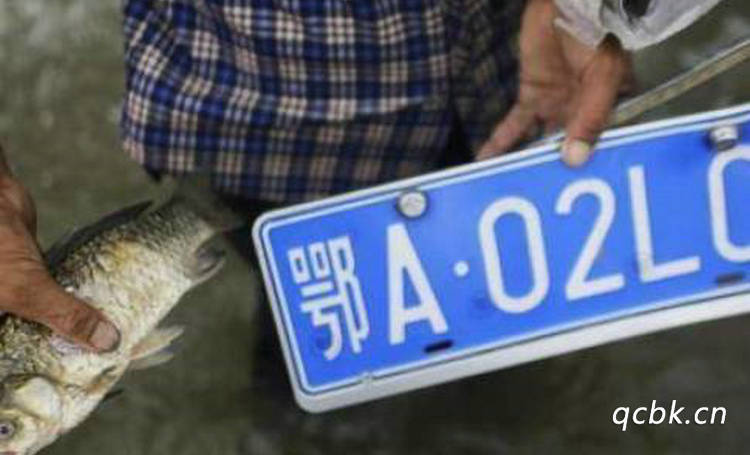 湖北的車牌號(hào)簡(jiǎn)稱什么