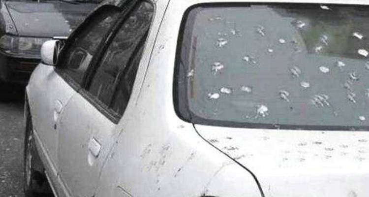 汽車清理鳥屎最簡單方法