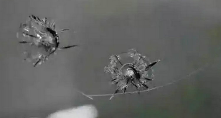 車玻璃被石頭子崩了怎么修復(fù)