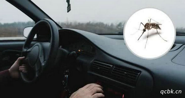 車里有蚊子怎么去除最有效