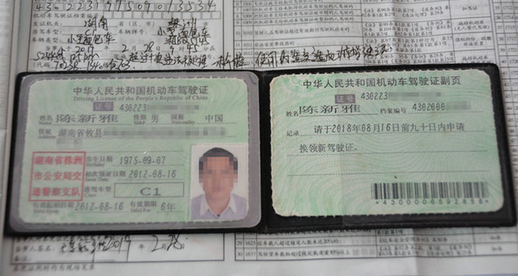 處理交通違章需要帶哪些證件