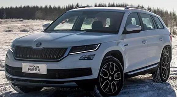 你認(rèn)為探岳和柯迪亞克哪個(gè)好，誰(shuí)更物美價(jià)廉（性?xún)r(jià)比高）