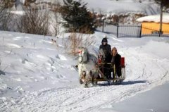買車如何選擇前驅(qū)、后驅(qū)、四驅(qū)，想不到差別這么大！