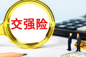 車輛必買的4個險 交強險、三者險、不計免賠、車損險屬于必買四項