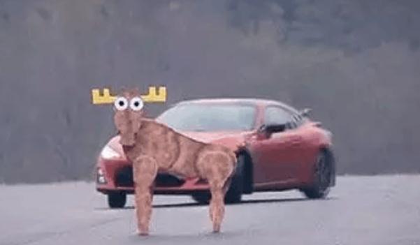 麋鹿測試，國際衡量汽車安全的重要標準（安全駕駛很重要）