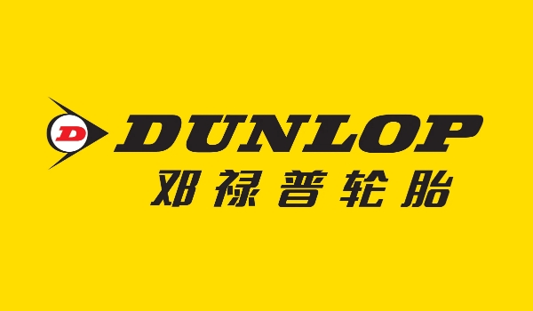 輪胎品牌排行榜前十名 米其林輪胎高居榜首（舒適靜音無(wú)所能及）