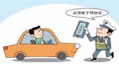 駕駛證照片可以自帶嗎、有什么要求？白底一寸免冠照