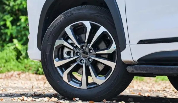 星途追風(fēng)輪胎型號(hào)是多少 輪胎尺寸225/55 r19(胎寬225mm)