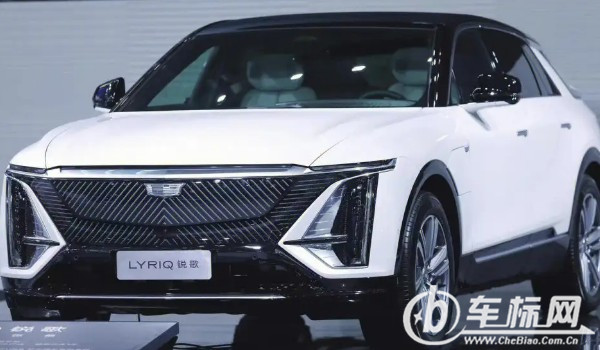 銳歌純電動(dòng)汽車價(jià)格及圖片 新車售價(jià)43萬(wàn)(分期首付13萬(wàn))