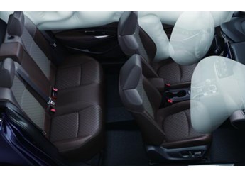 數(shù)九寒天如何安穩(wěn)過(guò)冬？全能亞洲獅送您“四不怕”