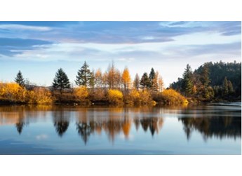 江鈴域虎9 新聞封面圖