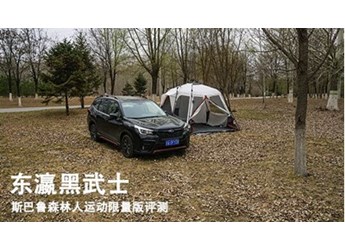 斯巴魯森林人 新聞封面圖