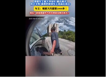 理想汽車(chē)停路邊慘遭劃車(chē) 陌生大爺瀟灑離開(kāi)：哨兵模式記錄全過(guò)程 封面圖