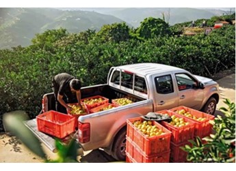 風(fēng)駿為什么被稱為皮卡界的“常青樹”