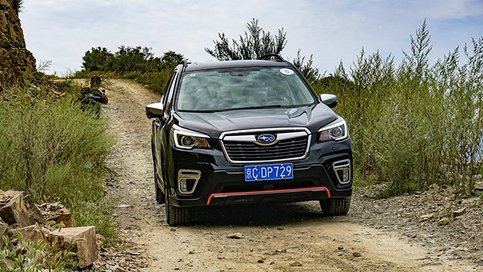 為運動而生 斯巴魯力獅、森林人限量版評測